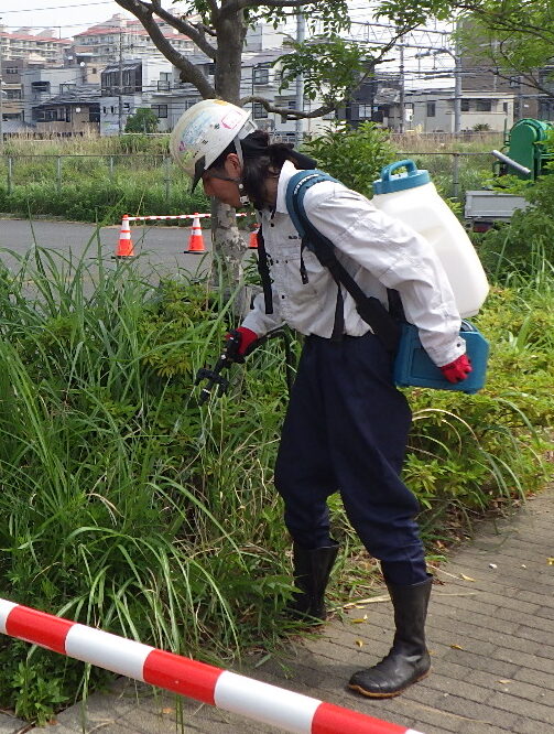 検証作業の様子などの画像