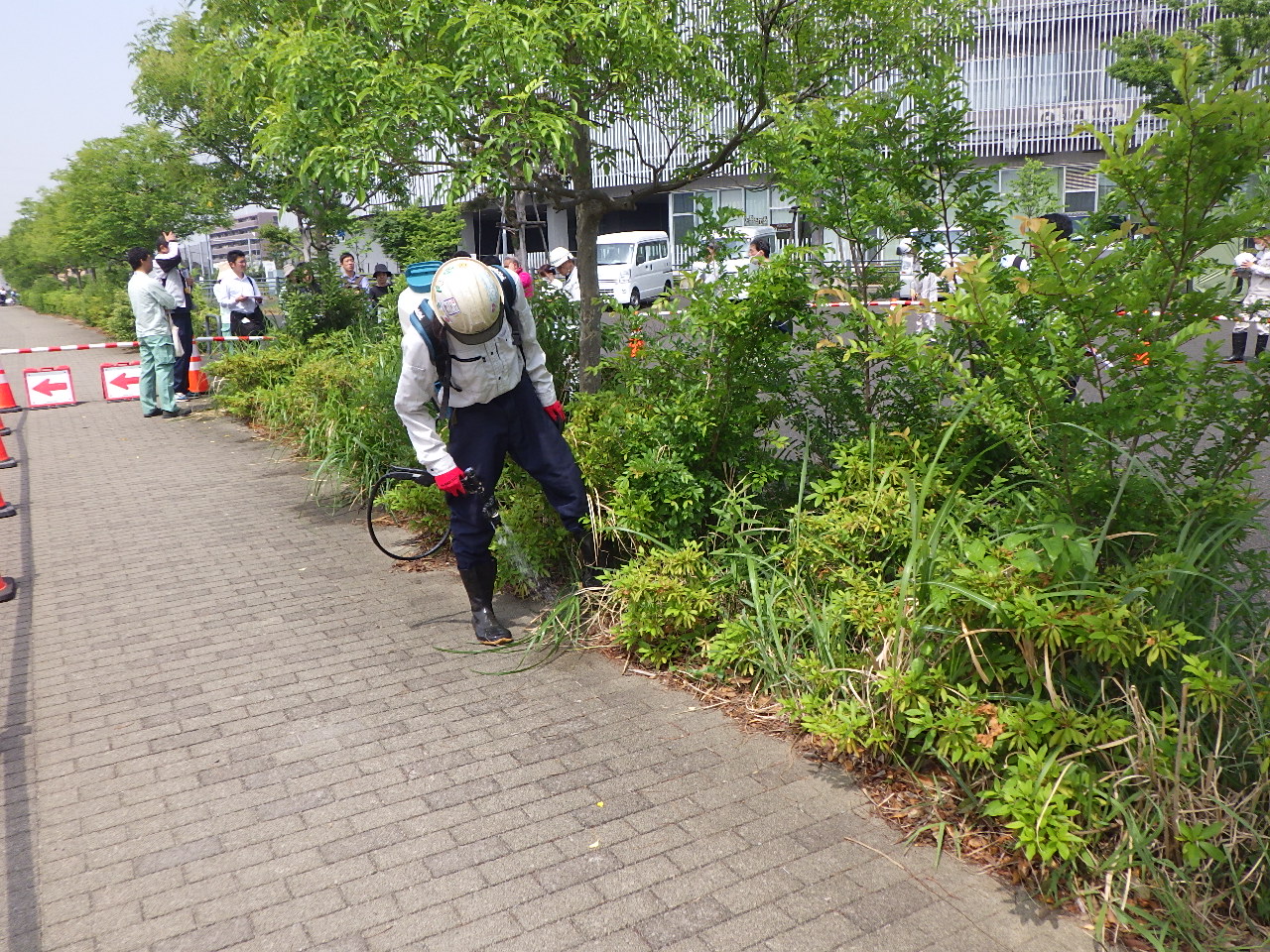 記事サムネイル